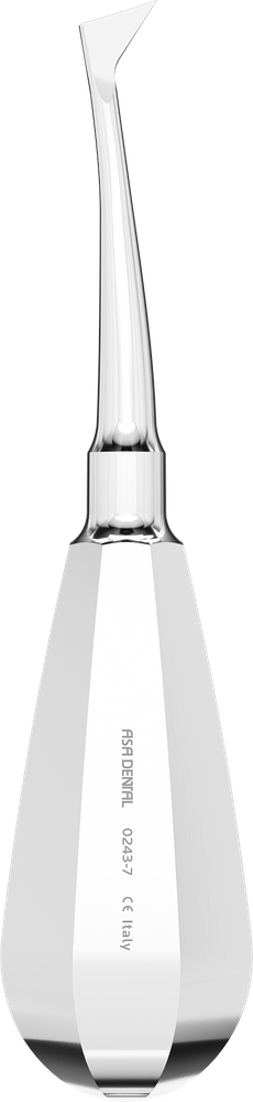 Cryer 0243-7 – ASA Dental S.p.A. Uninominale, Wurzelheber