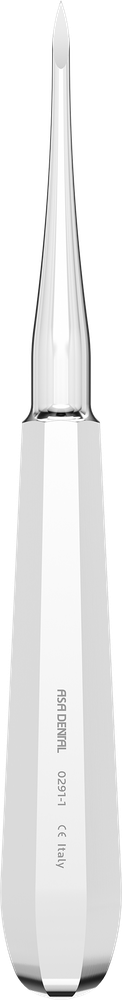 Heidbrink 0291-1 – ASA Dental S.p.A. Uninominale, Wurzelheber