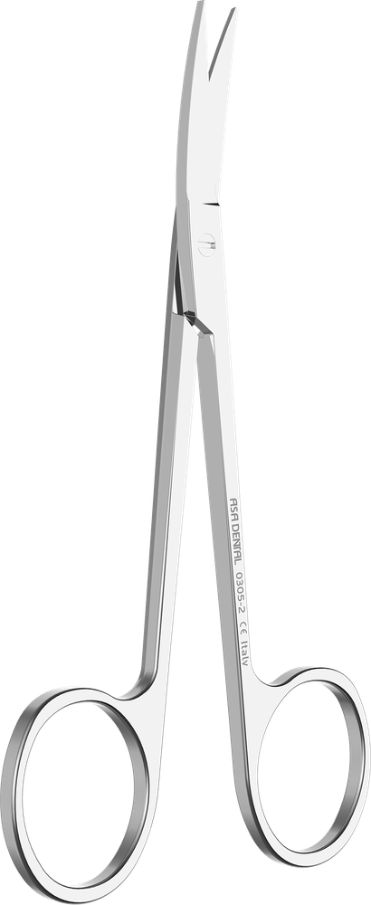 Iris 0305-2