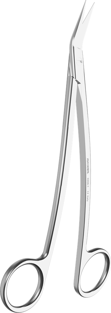 Dean 0306-1 – ASA Dental S.p.A. Uninominale, Sonstige chirurgische Instrumente