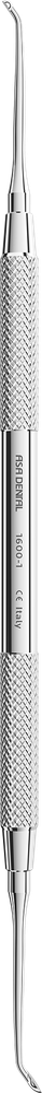 Cleoid-Discoid 1600-1