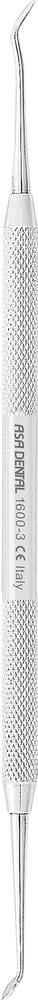 Cleoid-Discoid 1600-3