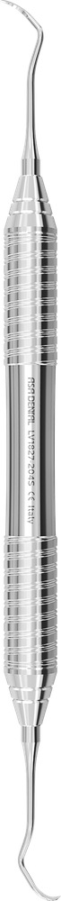 LV1827-204S – ASA Dental S.p.A. Uninominale, Scaler