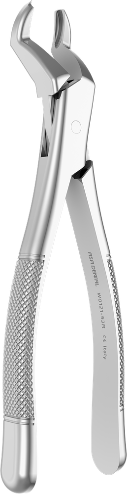 OK-Molaren rechts - 17,1 cm W0121-53R