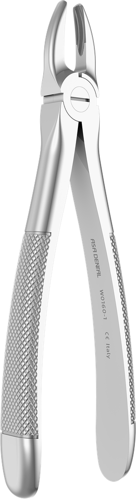 OK-Frontzähne - 15.5 ± 0.1 cm - mit geriffelten Spitzen W0160-1 – ASA Dental S.p.A. Uninominale, Extraktionszangen Oberkiefer