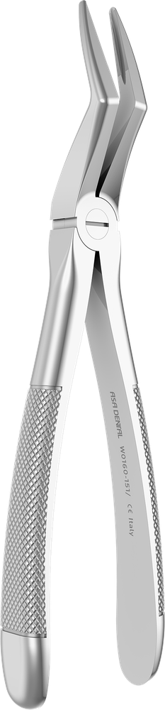 OK-Wurzeln - 17.8 ± 0.2 cm - mit geriffelten Spitzen W0160-151/