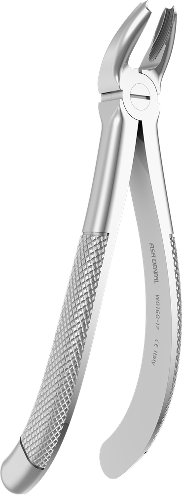 OK-Molaren rechts - 15.5 ± 0.2 cm - mit geriffelten Spitzen W0160-17
