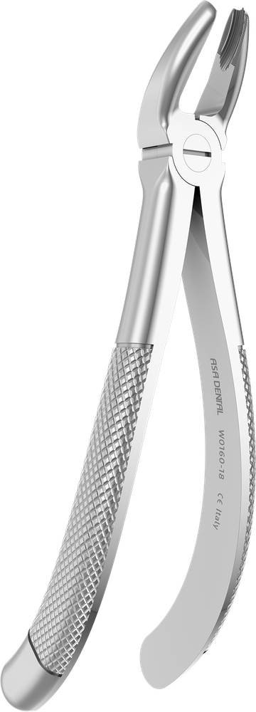 OK-Molaren links - 15.5 ± 0.2 cm - mit geriffelten Spitzen W0160-18