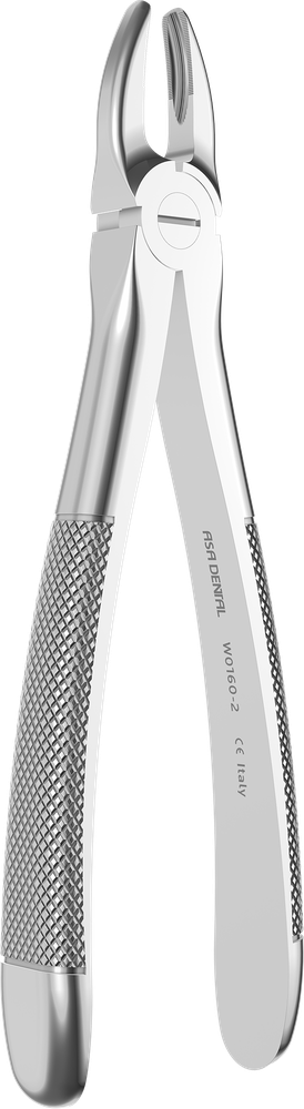 OK-Frontzähne - 15.8 ± 0.2 cm - mit geriffelten Spitzen W0160-2 – ASA Dental S.p.A. Uninominale, Extraktionszangen Oberkiefer