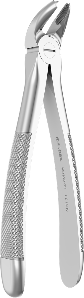 UK-Molaren - 14.4 ± 0.2 cm - mit geriffelten Spitzen W0160-21