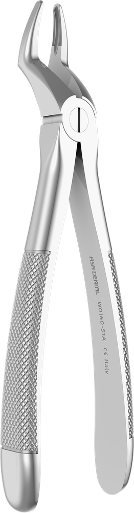 OK-Wurzeln - 16.6 ± 0.2 cm - mit geriffelten Spitzen W0160-51A
