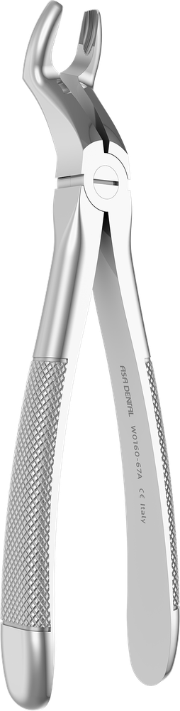 OK-Weisheitszähne - 17.1 ± 0.2 cm - mit geriffelten Spitzen W0160-67A – ASA Dental S.p.A. Uninominale, Spezialzahnzangen