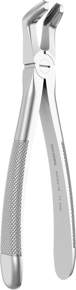 UK-Weisheitszähne - 15.4 ± 0.2 cm - mit geriffelten Spitzen W0160-79