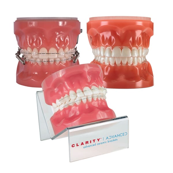 3M™ Typodonten 600-243