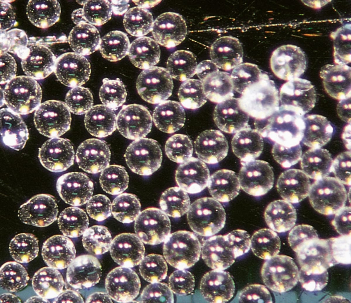 Rolloblast, 50 µm 15941305 – Renfert GmbH, Strahlmittel