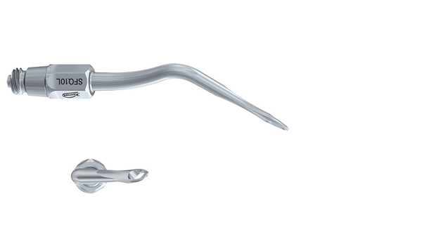 Parodontologie SFQ10L.000