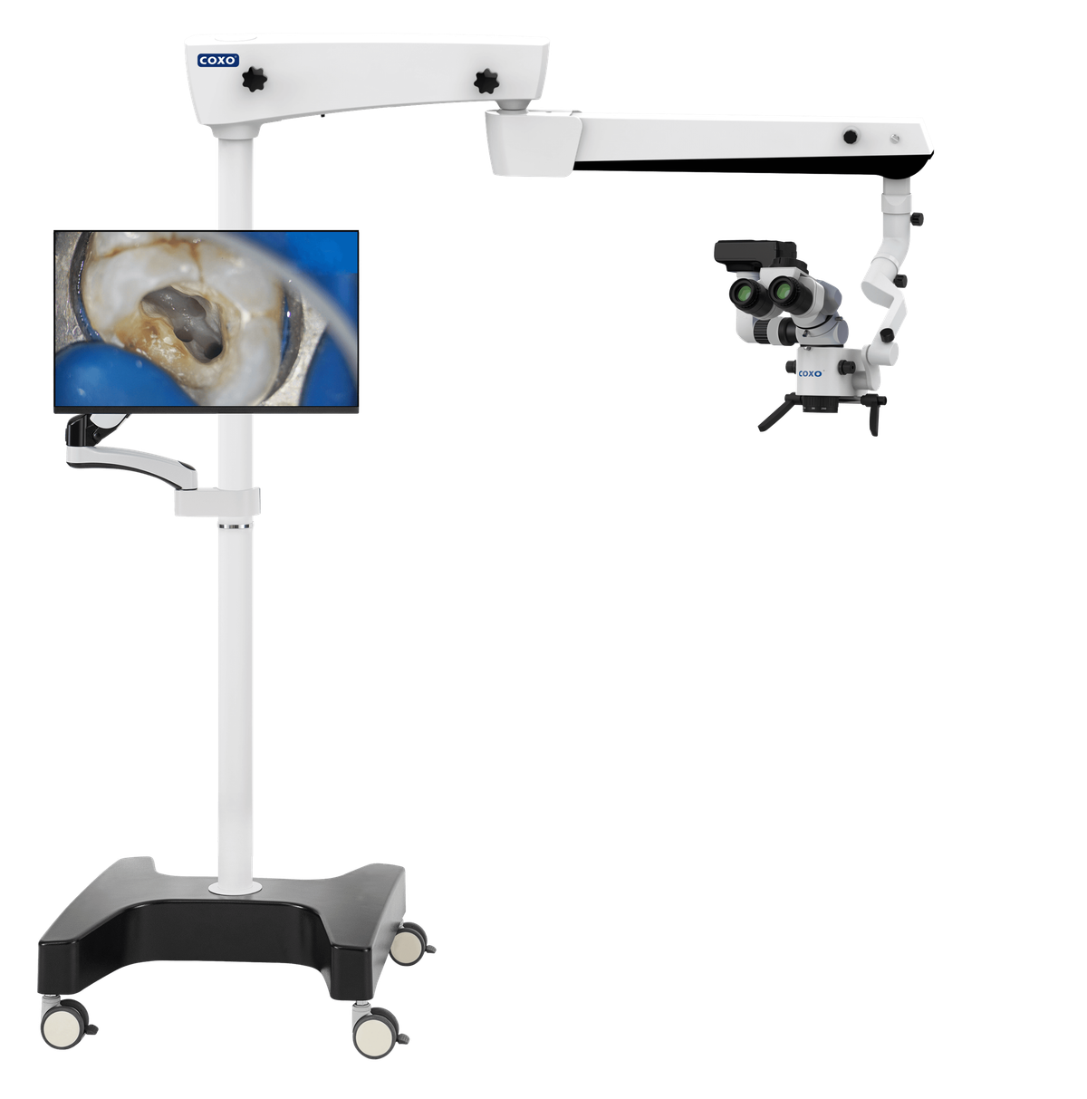 C-CLEAR-1 Operating microscope – Coxo Medical Instrument Co., Ltd, Lupenbrillen und Mikroskope