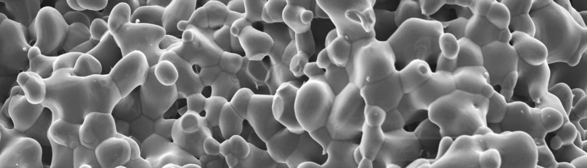 CERASORB M – Curasan AG, Knochenersatzmaterial
