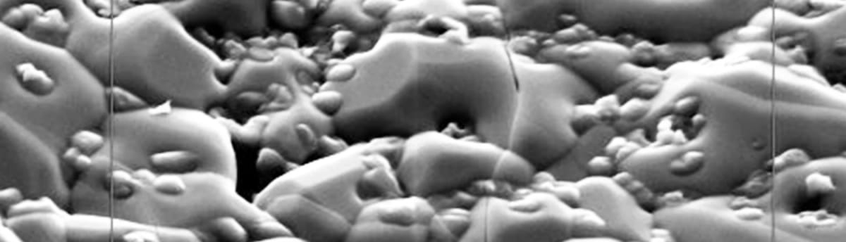 CERACELL® Ortho Foam – Curasan AG, Knochenersatzmaterial