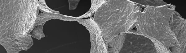 CERASORB® Bioactive