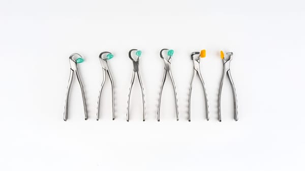 Physics® Forceps Golden Package Combo