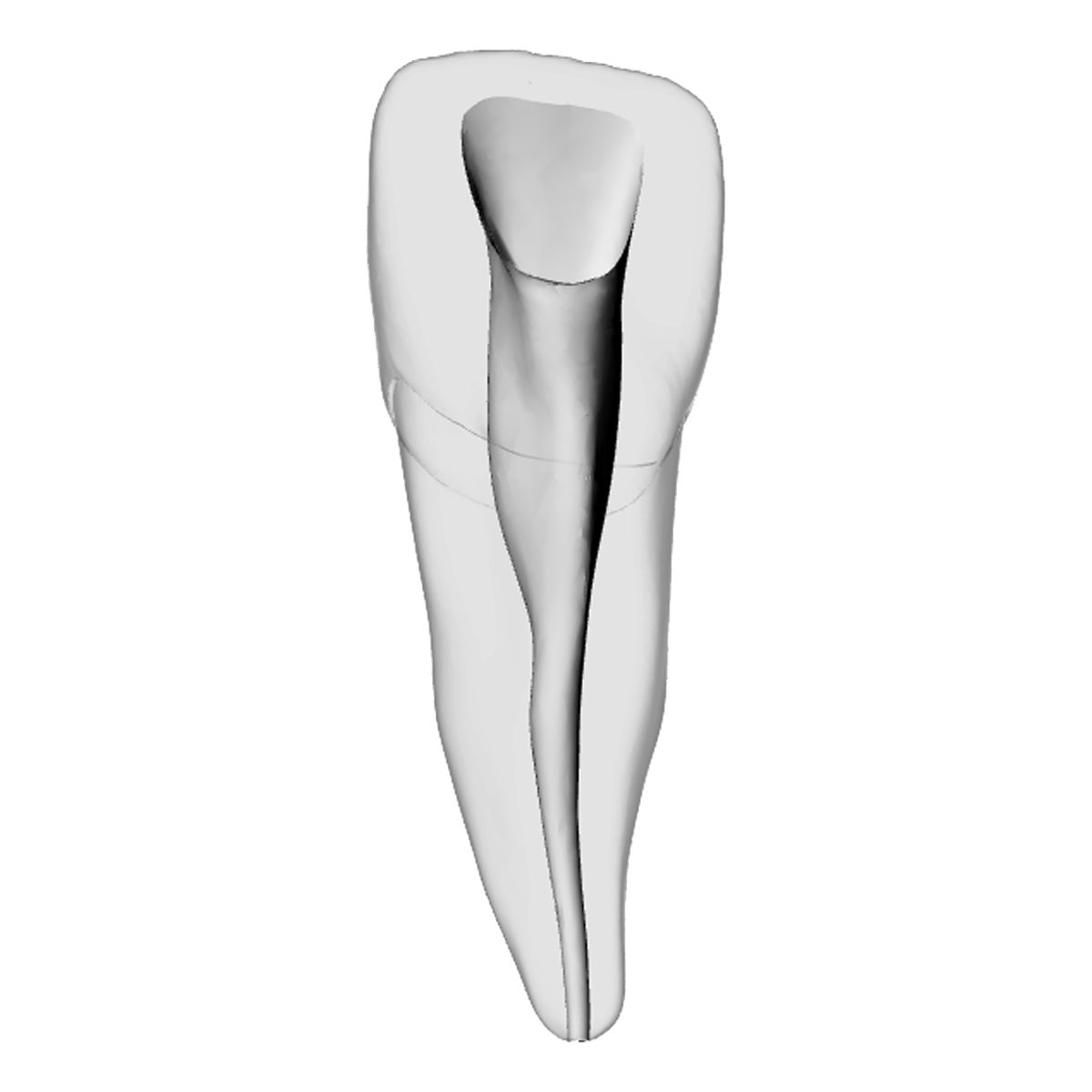 Incisor – Shaped canal, White – DRSK Group AB, Zubehör für Wurzelbehandlung
