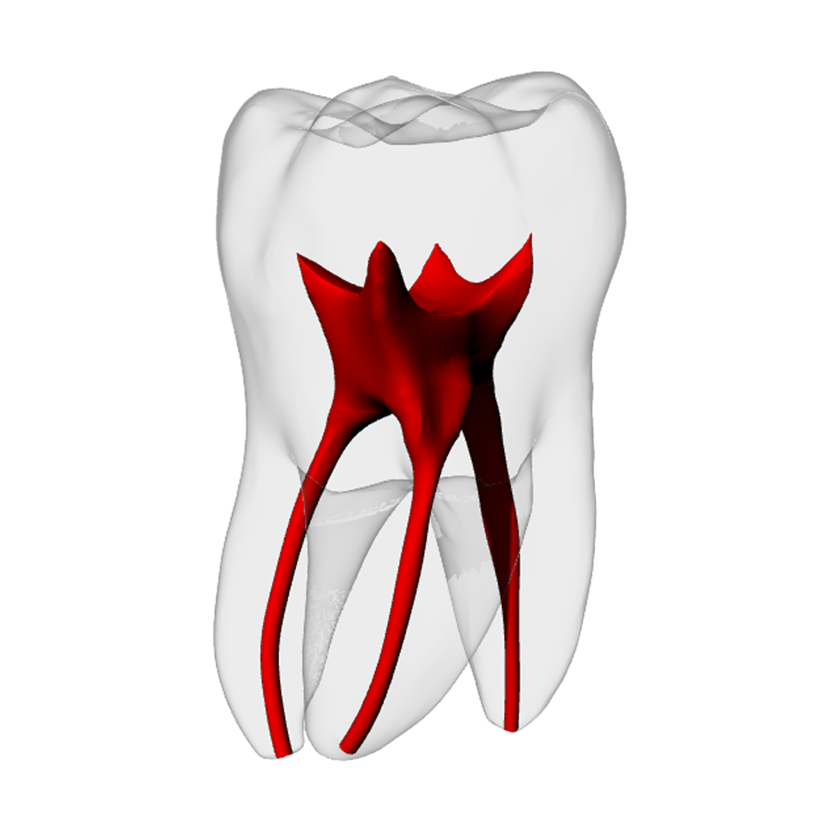 Molar – Basic, Radiopaque (White) – DRSK Group AB, Zubehör für Wurzelbehandlung