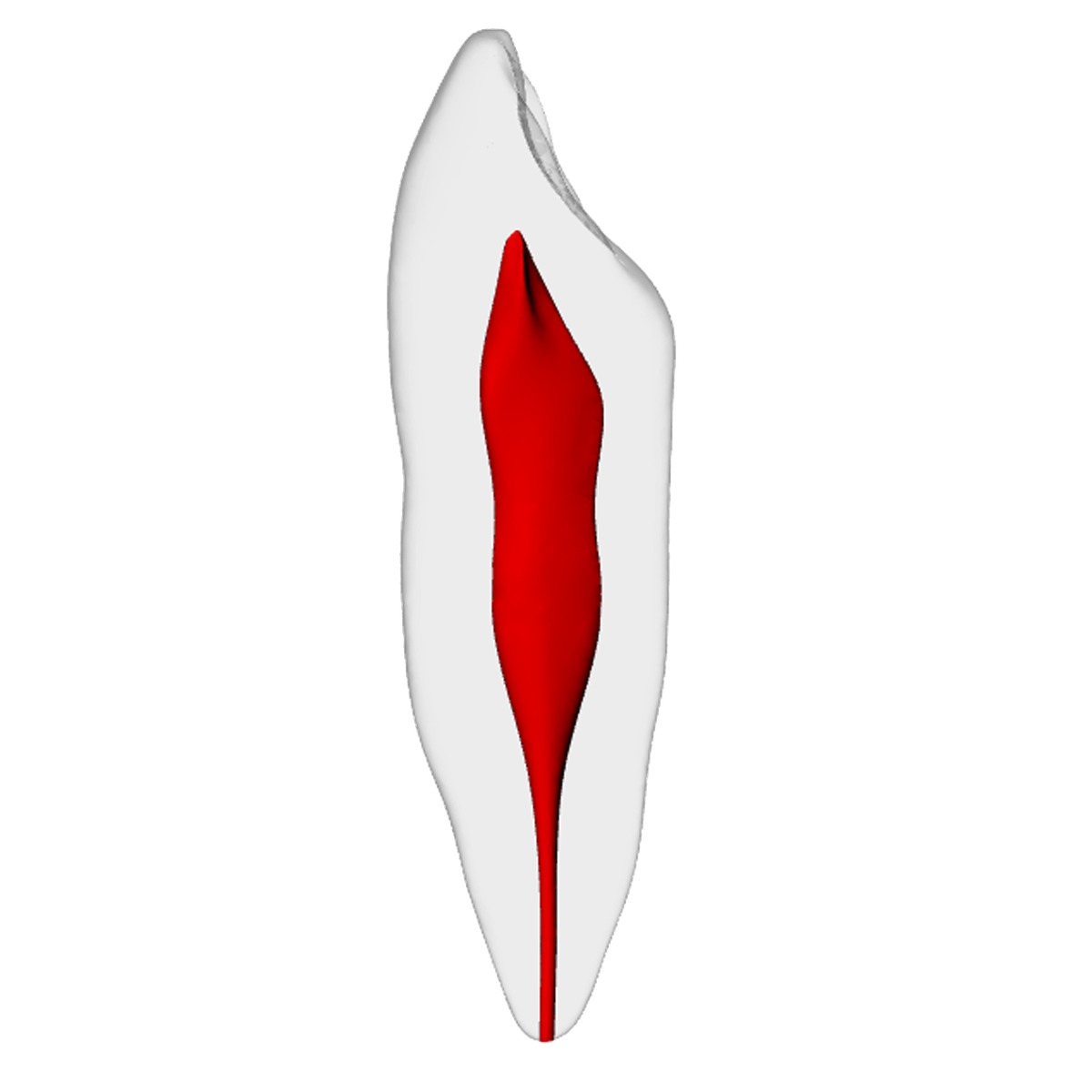 Canine – Basic, Clear Root, White Crown, ~20# – DRSK Group AB, Gipszusätze, Stumpflacke und Gipslöser