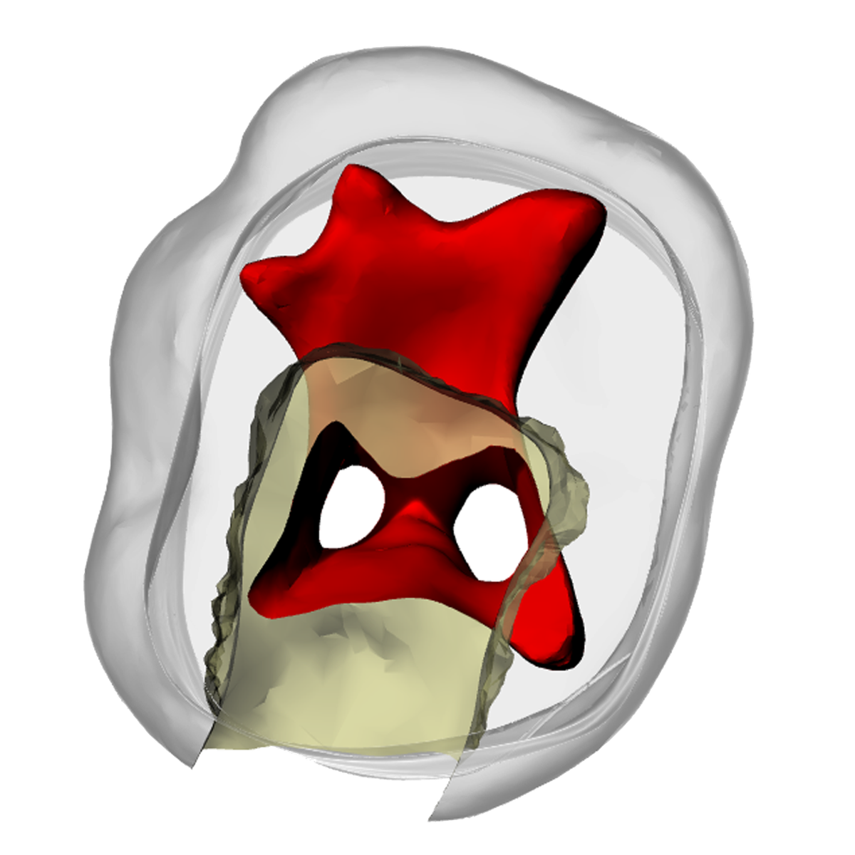 Primary mandibular second molar – DRSK Group AB, Gipszusätze, Stumpflacke und Gipslöser