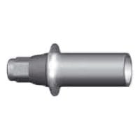 DXL- Aesthetic Plastic Abutment – DXL Medical, Abutments