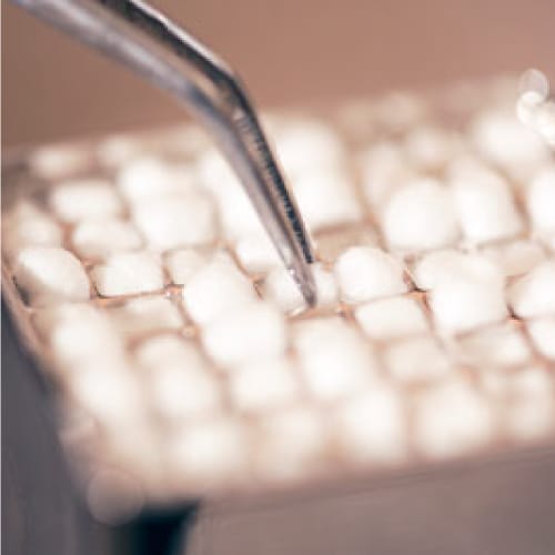 100% Cotton Pellets | Pure, Absorbent & Biodegradable | RMD – Richmond Dental and Medical, Watterollen