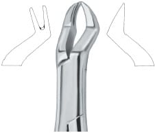 Nevius Molars , Left 88L