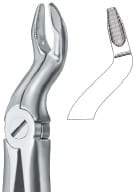 Tooth Ext Forceps – EMERALD INSTRUMENTS, Extraktionszangen