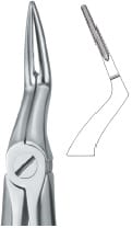 Tooth Ext Forceps – EMERALD INSTRUMENTS, Extraktionszangen