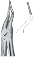 Tooth Ext Forceps – EMERALD INSTRUMENTS, Extraktionszangen
