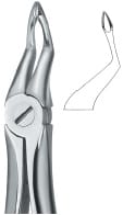 Tooth Ext Forceps – EMERALD INSTRUMENTS, Extraktionszangen