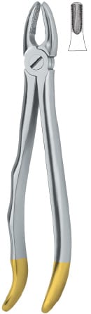 Incisors and cuspids 1 – EMERALD INSTRUMENTS, Extraktionszangen