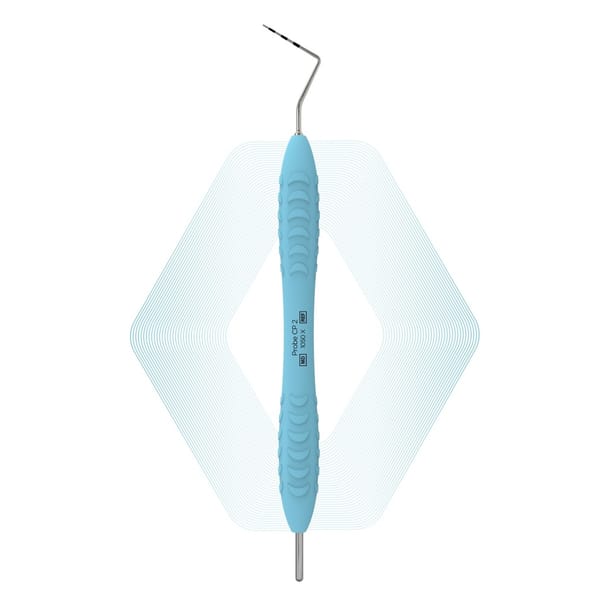 Probe CP-2 | ErgoDenta 10862