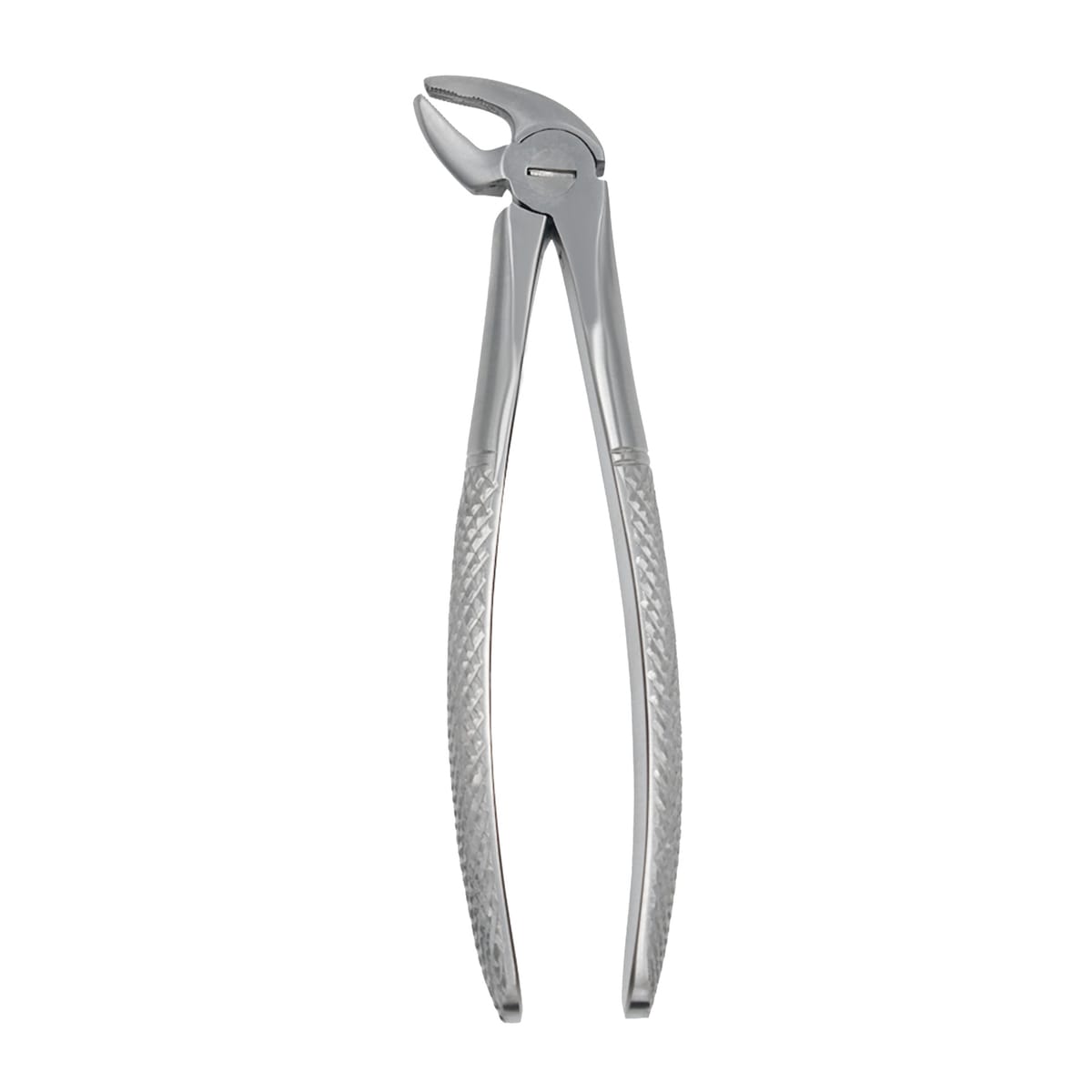 Fig. 38 Incisors and Canines, Lower Jaw | Junior Extraction Forceps | ErgoDenta 5015-38 – ErgoDenta ApS, Kinderzahnzangen
