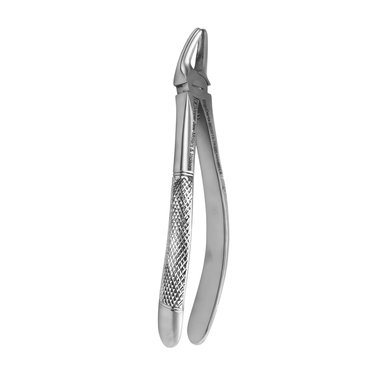 Fig. 7K Upper Jaw Molars and Incisors | Junior Extraction Forceps | ErgoDenta 5015-7K – ErgoDenta ApS, Kinderzahnzangen