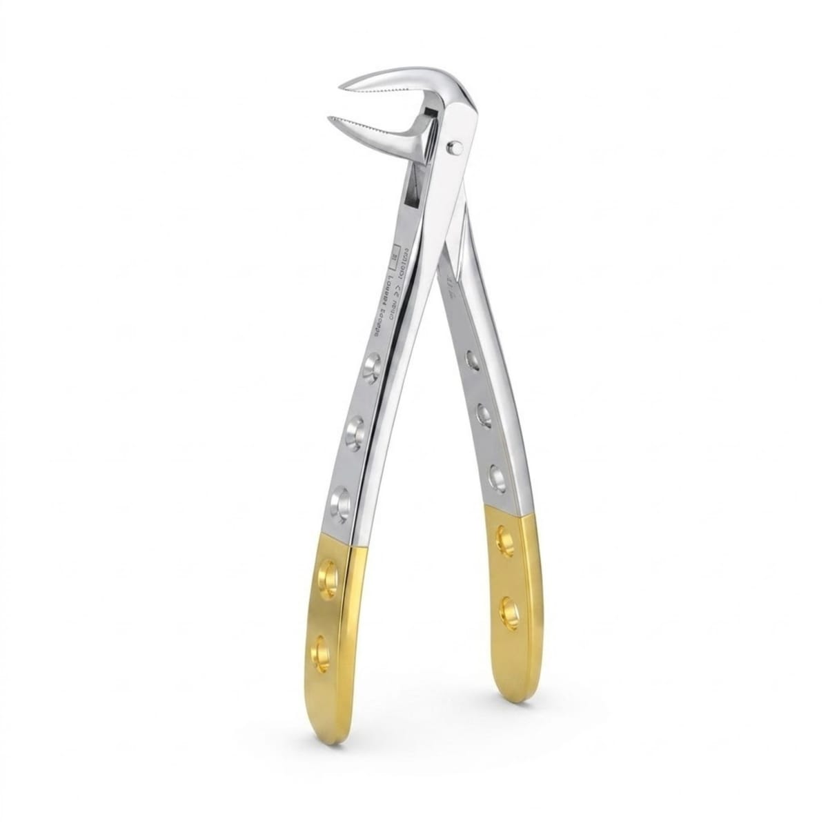 Lower Roots | Diamond Extraction Forcep | ErgoDenta 5025-74N – ErgoDenta ApS, Extraktionszangen diamantiert