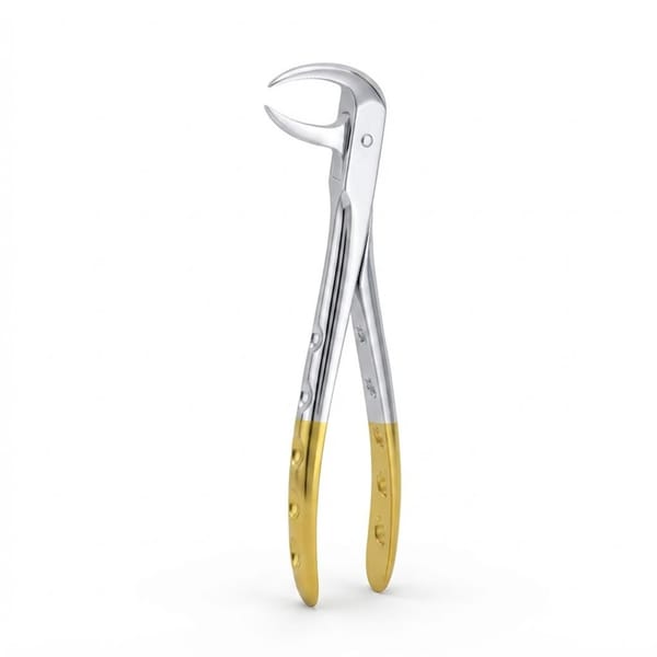 Lower Molars | Diamond Extraction Forcep | ErgoDenta 5025-86