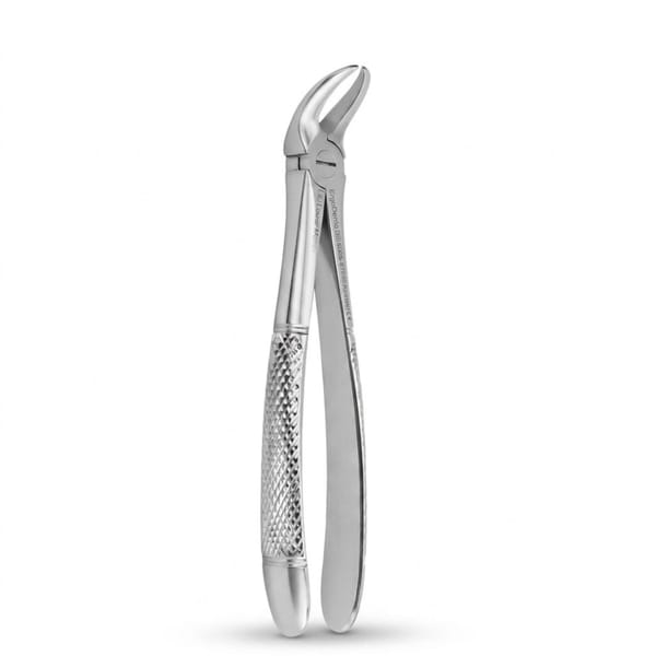 Lower Molars | Standard Extraction Forcep | ErgoDenta 5005-87
