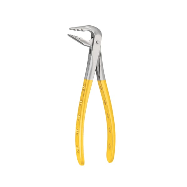 Lower Anterior | Diamond Extraction Forcep GripMaster | ErgoDenta 5040-2074