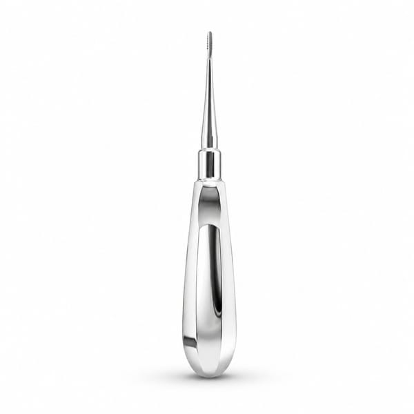 Lindo-Levian Elevator 1