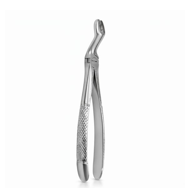 Extraktionszange Standard S 67A