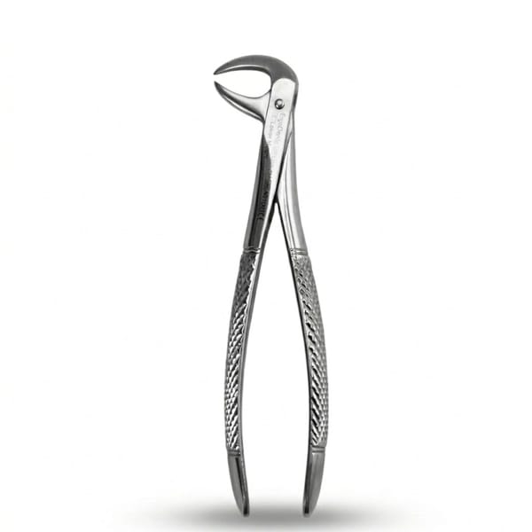 Lower Molars | Standard Extraction Forcep | ErgoDenta 5005-86A