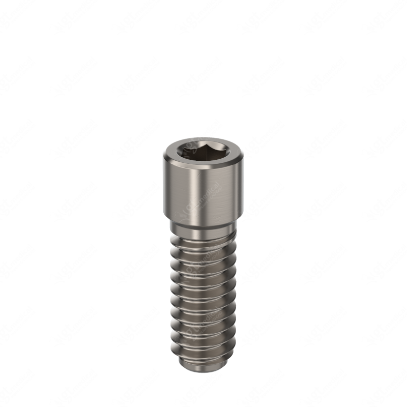 Universal Screw, Hex 1.25, 7.0mm compatible with Mis® Lance® External Standard D09010 – GT-Medical S.L., Sonstiges