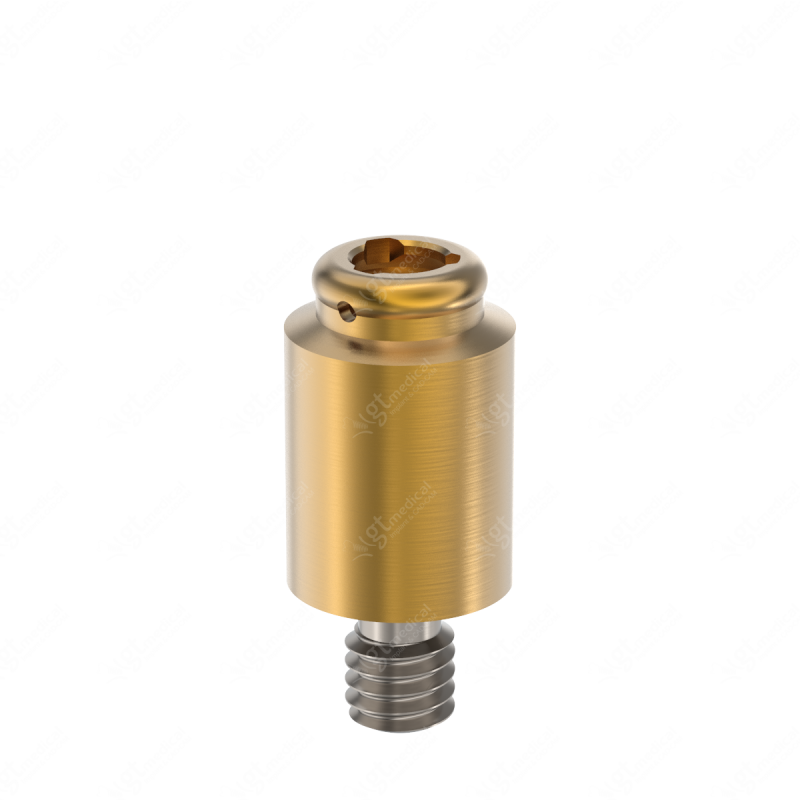 Loc. Abutment + Processing Package, G6.0mm compatible with Klockner® KL / KL 0.7 WP G20552 – GT-Medical S.L., Abutments