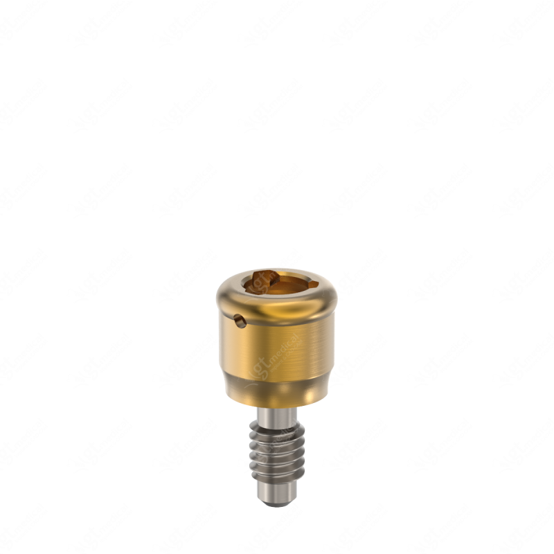 Loc. Abutment + Processing Package, G2.0mm compatible with Phibo® External TSH® S2 G20561 – GT-Medical S.L., Abutments